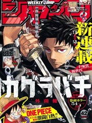 日本少女漫画《花冠日记》封面